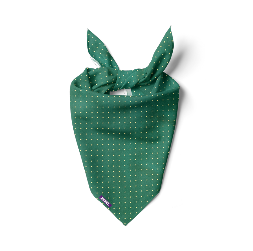Golden dots green bandana