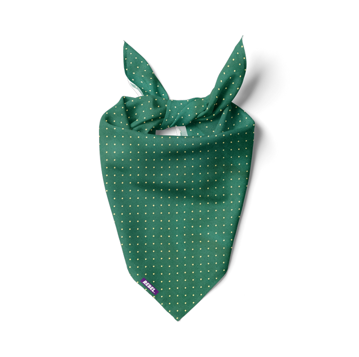 Golden dots green bandana