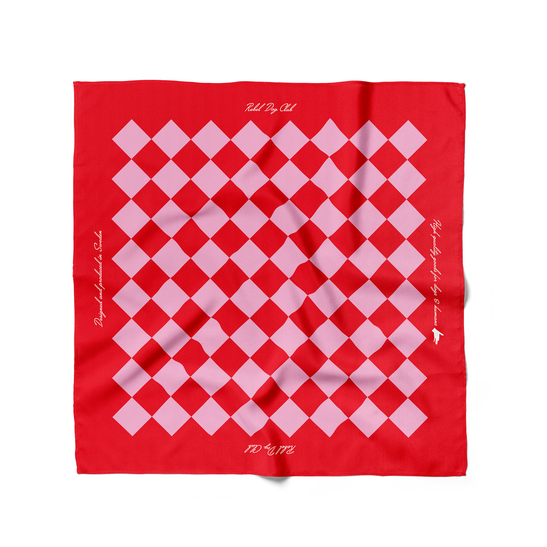 Checkered Rebel