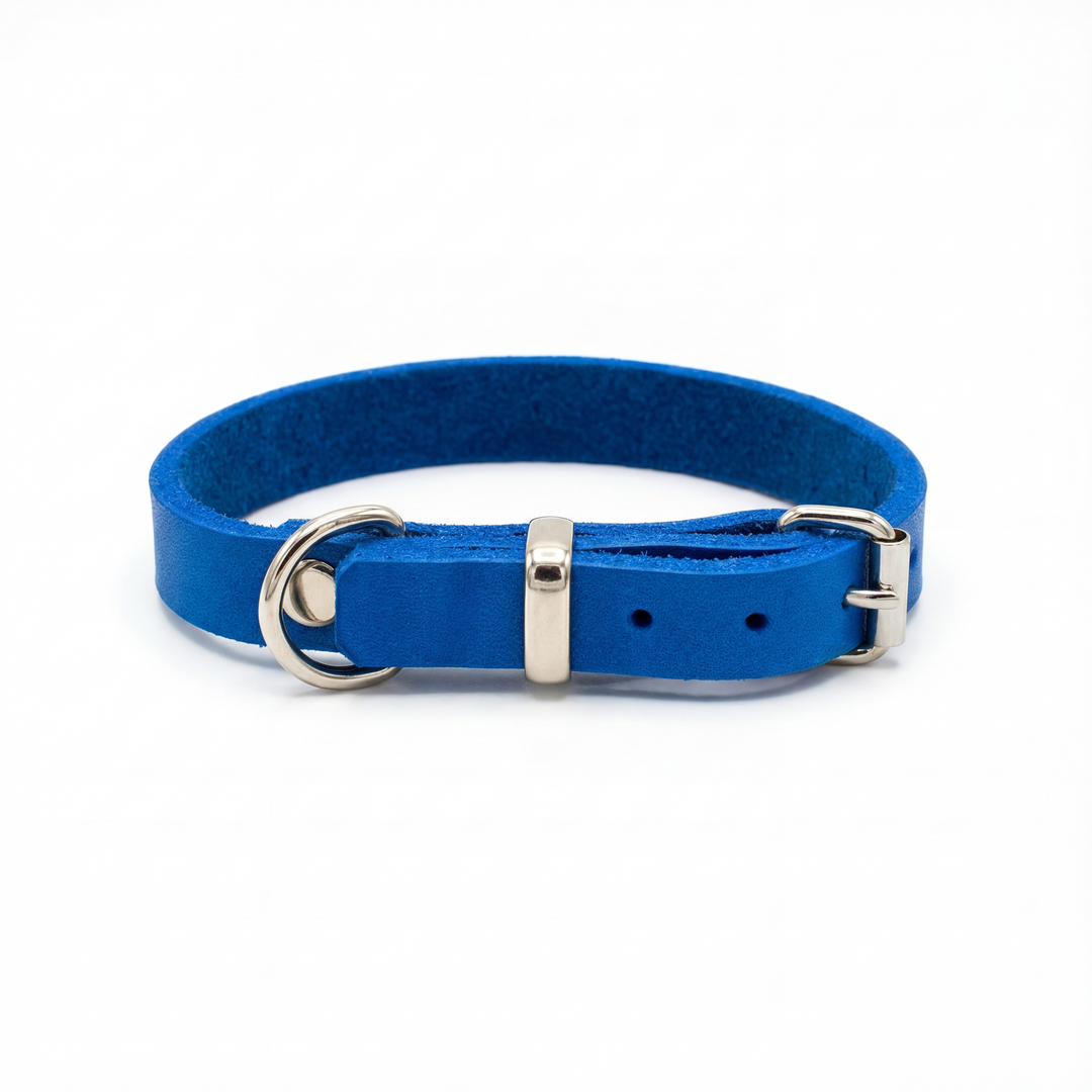 Leather collar Bright Blue