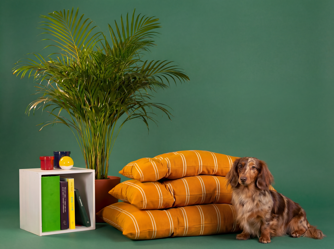 Gestreiftes Baumwoll-Hundebett