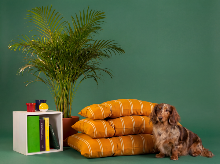 Gestreiftes Baumwoll-Hundebett
