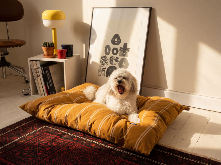 Gestreiftes Baumwoll-Hundebett