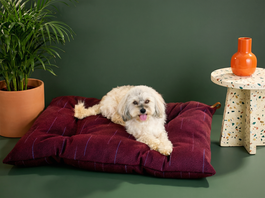Violettes Hundebett aus Wolle