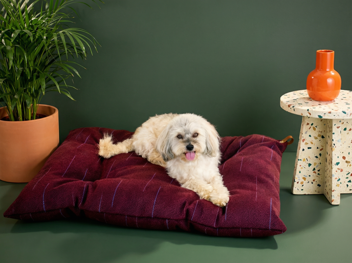 Violettes Hundebett aus Wolle