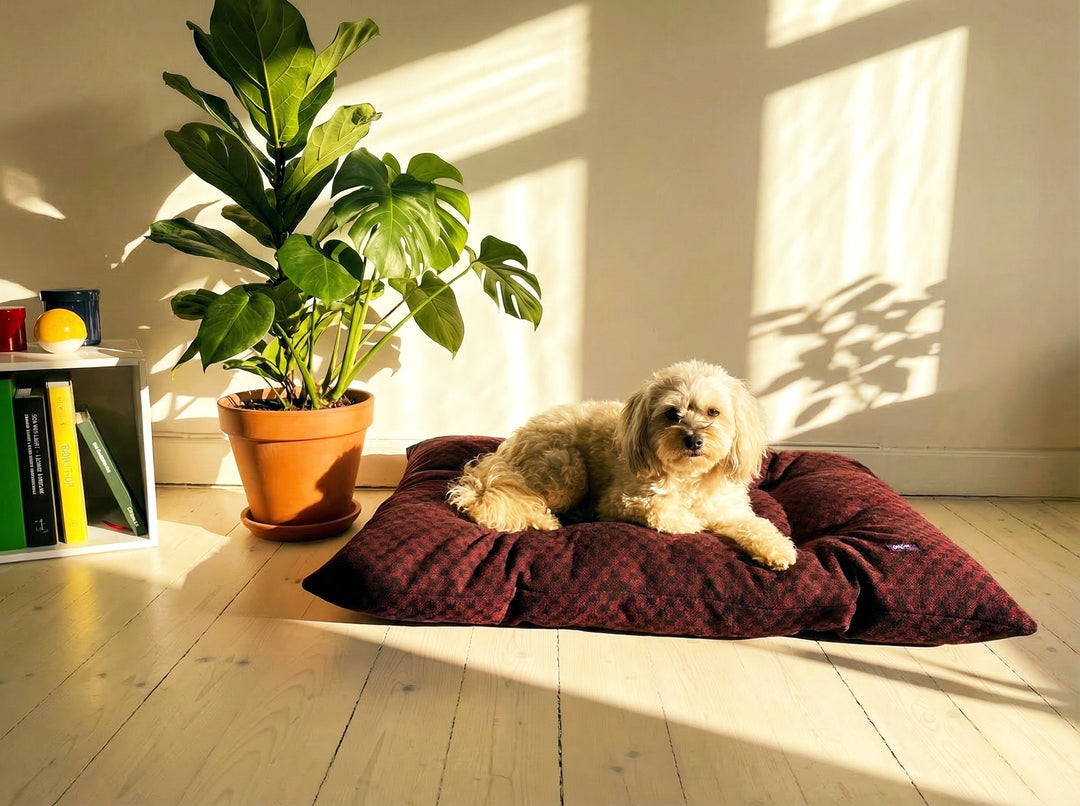 Kariertes Hundebett aus Wolle