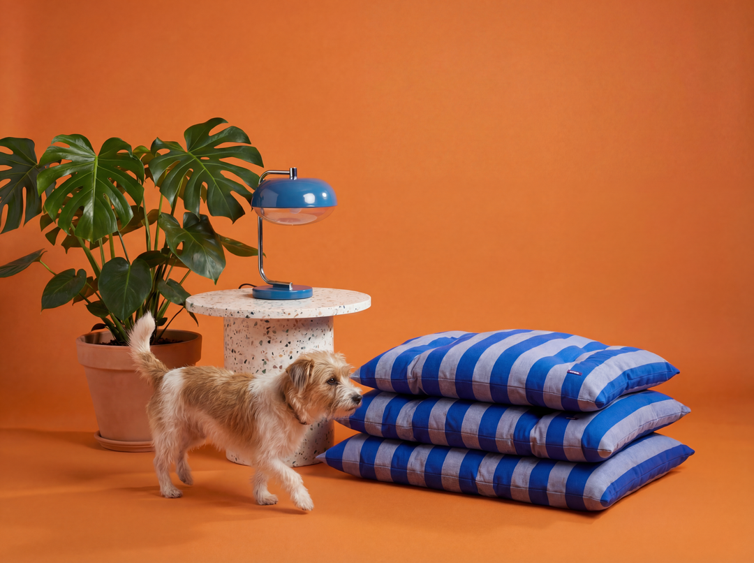 Gestreiftes Hundebett aus Baumwolle – The Harbor