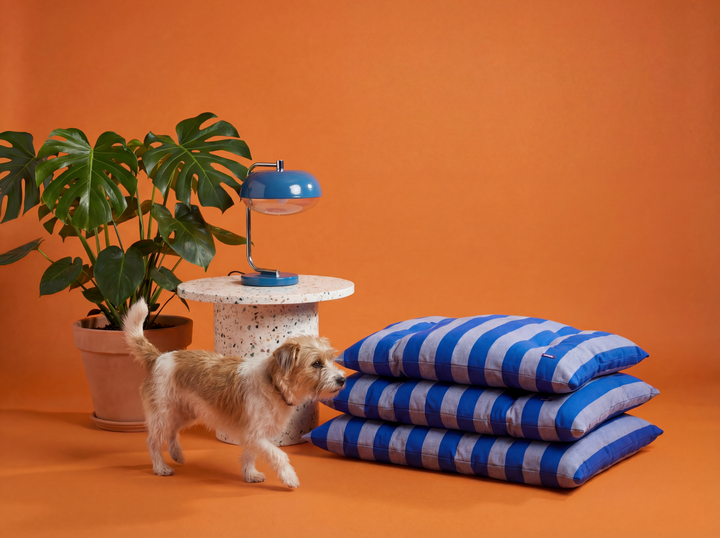 Gestreiftes Hundebett aus Baumwolle – The Harbor