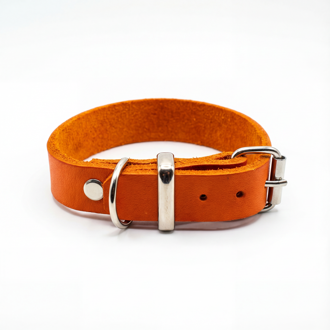 Leather collar Orange